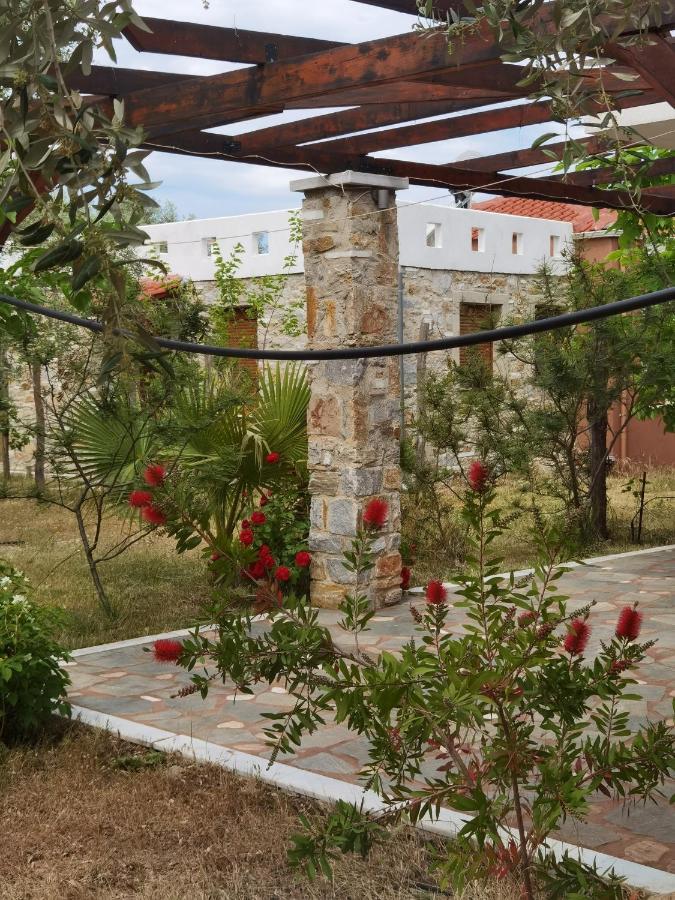Elea Stone Houses In Organic Quiet Olive Grove, Prinos, Thassos Экстерьер фото