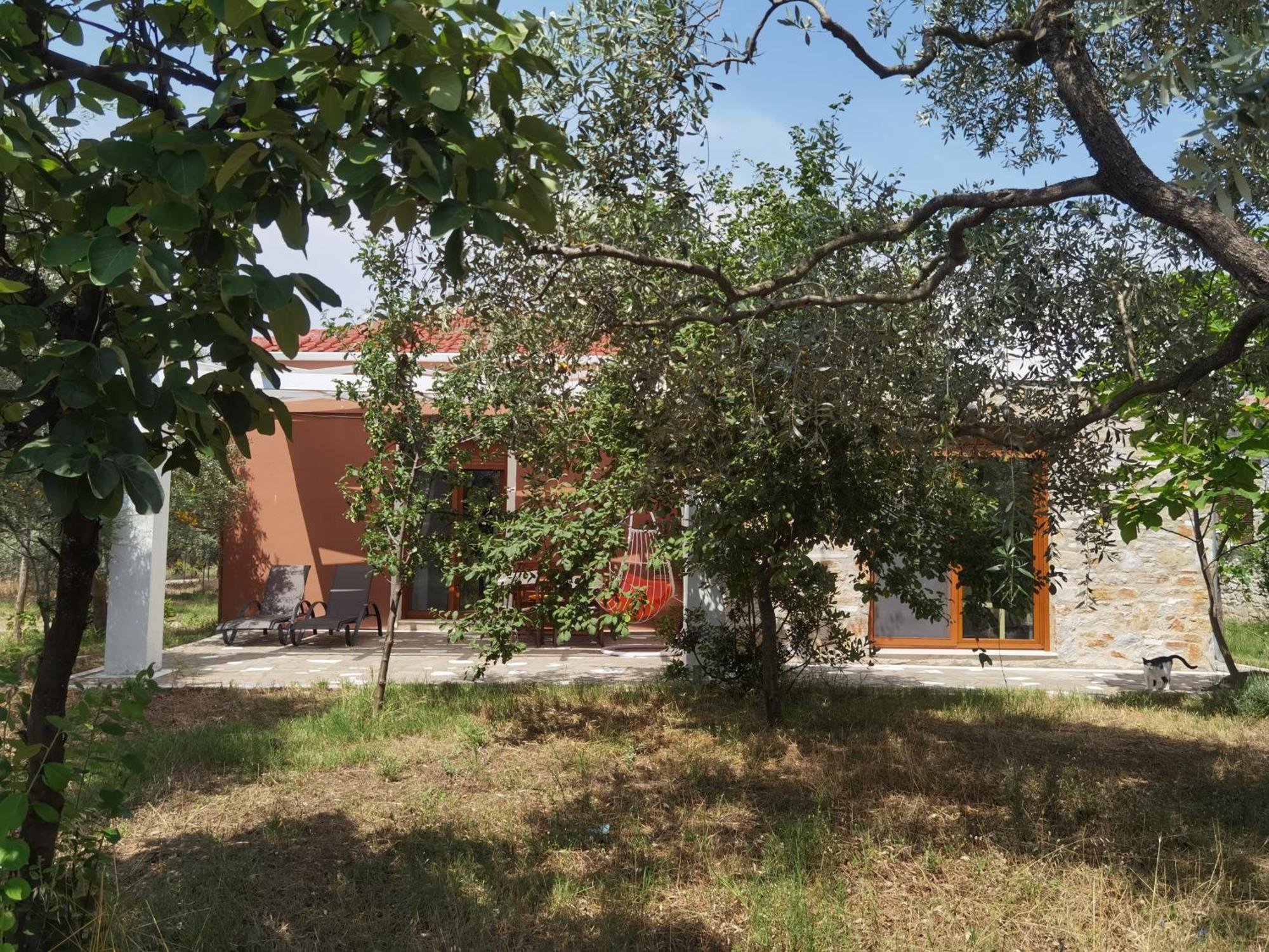 Elea Stone Houses In Organic Quiet Olive Grove, Prinos, Thassos Номер фото